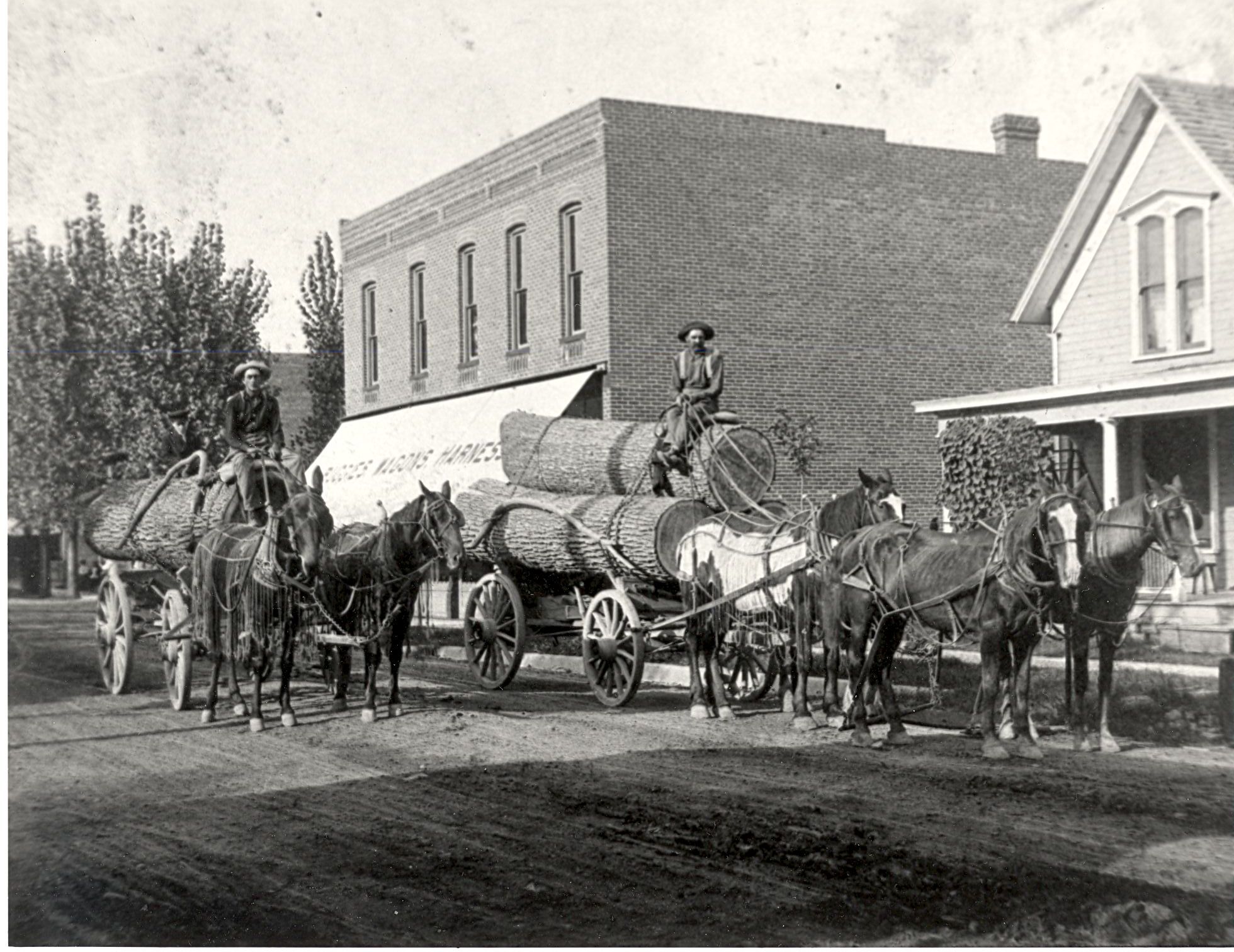 Hauling Logs in Young America