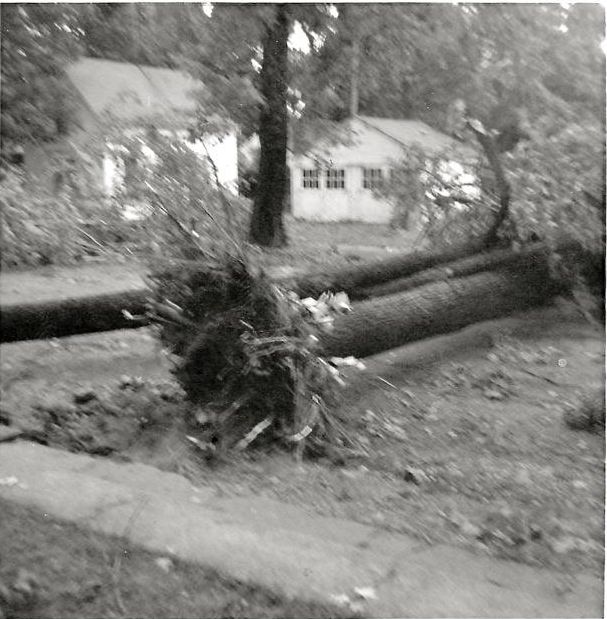 1960storm