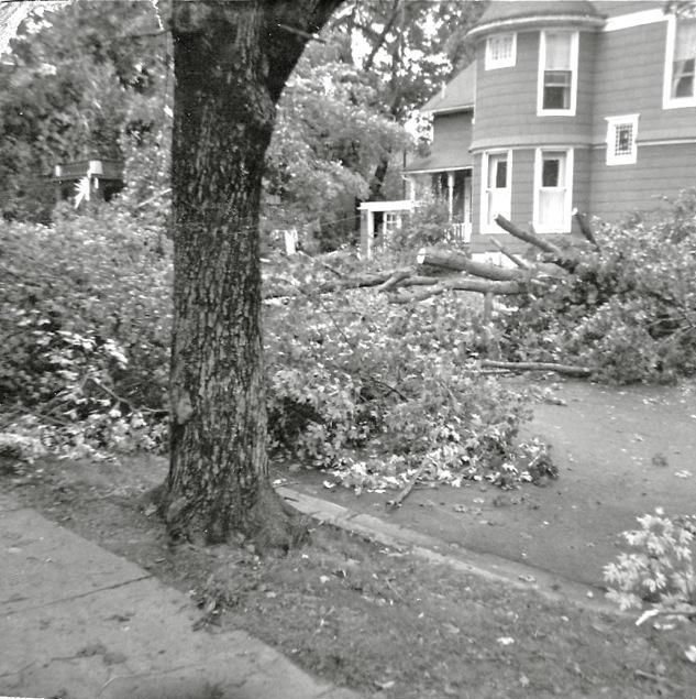 1960storm